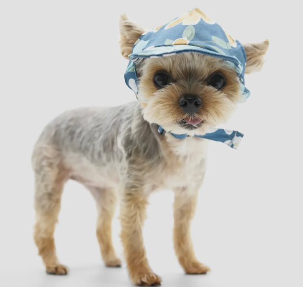 Wild Flower Hat By Dogo Pet