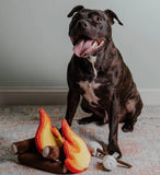 Multi Campfire Dog Toy By Midlee