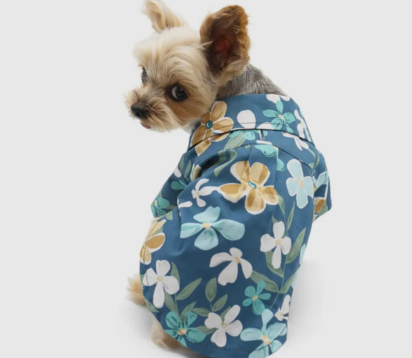Wild Flower Shirt By Dogo Pet