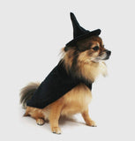 Witch Dog Costume By Midlee