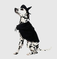 Witch Dog Costume By Midlee