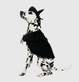 Witch Dog Costume By Midlee