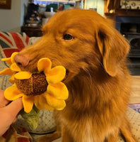 Blooming Buddies Sassy Sunflower Dog Toy By P.L.A.Y