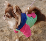 Colour Block Hoodie By Doggie Design