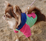 Colour Block Hoodie By Doggie Design