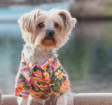 Summer Hawaiian Dog Shirt By Doggie Design