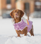 Camplife Puffer Purple Dog Jacket By GF Pet