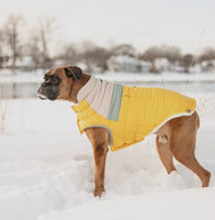 Camplife Puffer Yellow Dog Jacket By GF Pet