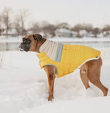 Camplife Puffer Yellow Dog Jacket By GF Pet