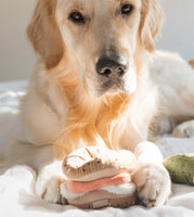 Bagel & Pickle Snuffle Toy By Lambwolf Collective