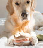 Bagel & Pickle Snuffle Toy By Lambwolf Collective