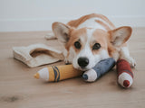 Crayons Snuffle Toy By Lambwolf Collective