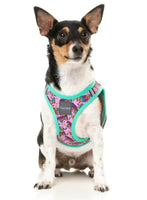 Fiesta Step In Dog Harness By FuzzYard