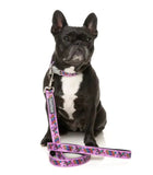 Fiesta Dog Collar By FuzzYard
