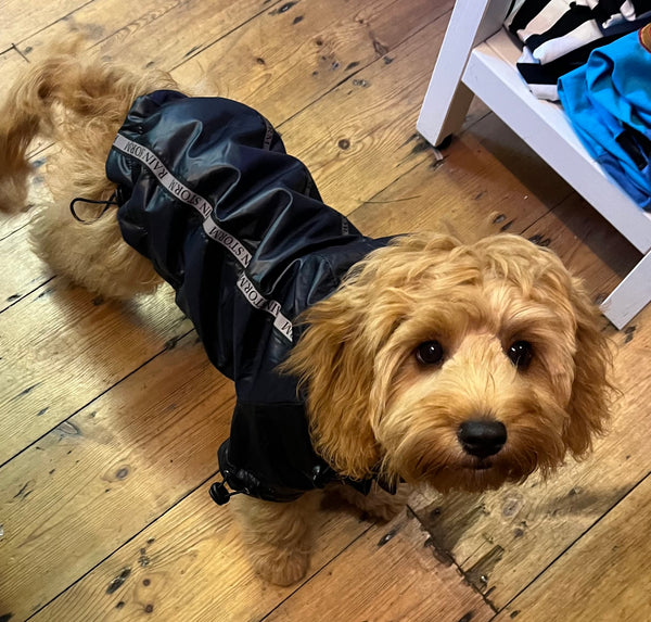 Rainstorm Ink Blue Dog Jacket By Urban Pup
