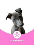 Puppy Conditioning Shampoo By Dot Dot Pet