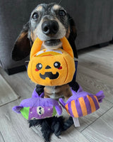 Trick Or Treat Rope Dog Toy By Hugsmart