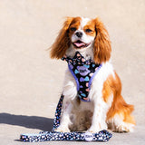 All You Need Is Love Over Head Harness By For Dog Lovers