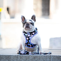 All You Need Is Love Over Head Harness By For Dog Lovers