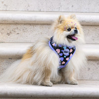 All You Need Is Love Over Head Harness By For Dog Lovers