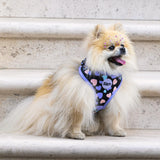 All You Need Is Love Over Head Harness By For Dog Lovers