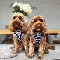 All You Need Is Love Collar By For Dog Lovers