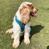 Green Leopard Print Harness By Pawsome Life
