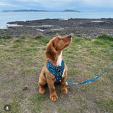 Green Leopard Print Harness By Pawsome Life