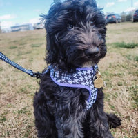 Chic Houndstooth Print Harness By Pawsome Life