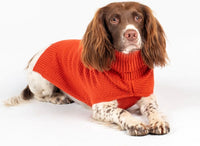 Burnt Orange Jamie Knit Sweater By Canine & Co