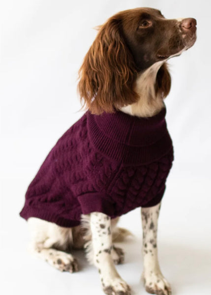 Grape Rascal Cable Knit Sweater By Canine & Co
