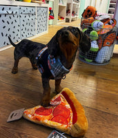 Snack Attack Puppy-roni Pizza Dog Toy By P.L.A.Y