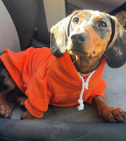 Bright Orange Cosy Dog Hoodie