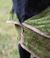 Refresh Green Dog Drying Coat By Henry Wag