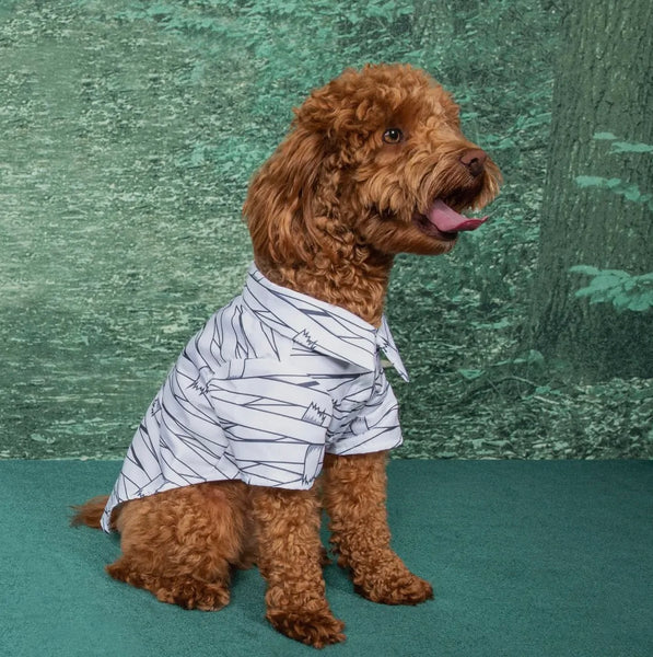 Monster shirts dogs hot sale