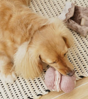 Petite Two Cakes Snuffle Toy By Lambwolf Collective