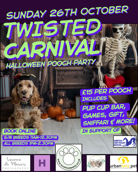 Sunday 26th October Twisted Carnival Halloween Party @ Mi Coffee & Cake Sandhurst