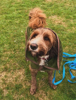 Refresh Green Dog Drying Coat By Henry Wag