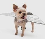 Silver Wings By Dogo Pet