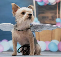 Silver Wings By Dogo Pet