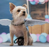 Silver Wings By Dogo Pet