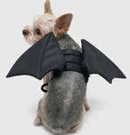 Bat Wings By Dogo Pet