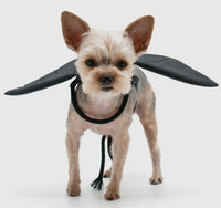 Bat Wings By Dogo Pet