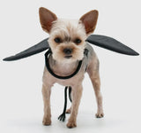 Bat Wings By Dogo Pet