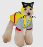 Super Hero Hoodie By Dogo Pet