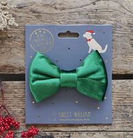 Christmas Green Velvet Dog Bow Tie By Sweet William