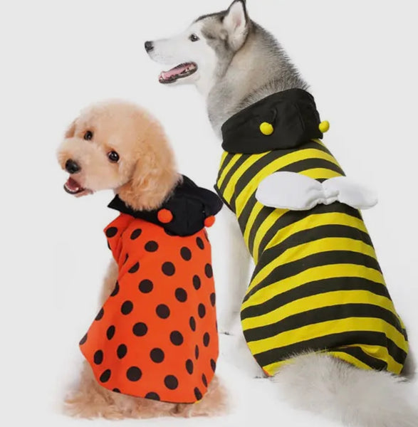 Buggin’ Round Reversible Hoodie By Dogo Pet