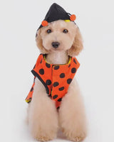 Buggin’ Round Reversible Hoodie By Dogo Pet