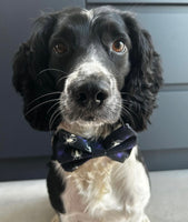 Glow In The Dark Spider Halloween Dog Bow Tie Handmade By Urban Tails