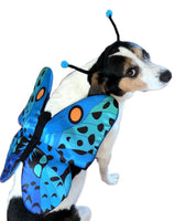 Butterfly Costume By Show & Tail